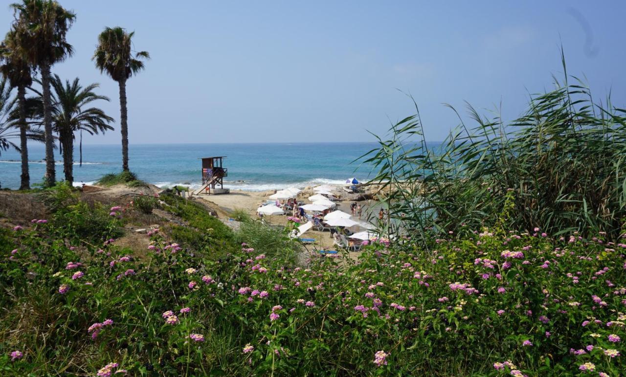 Paphos Gardens, Near Beach Εξωτερικό φωτογραφία